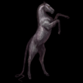 /album/galerie-photos/cowbra-png/